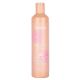 Discipline Anti Frizz Smoothing Shampoo 300ml Echosline