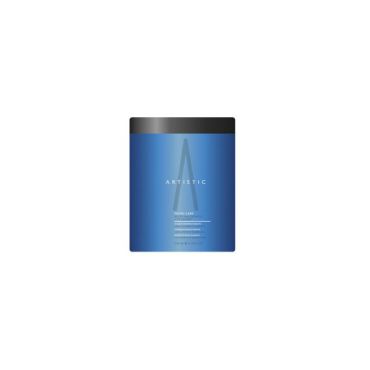 Hydra Care Mask Artistic Hair