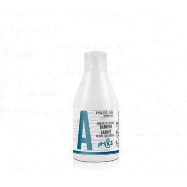 Champú salerm equilibrador-300-ml