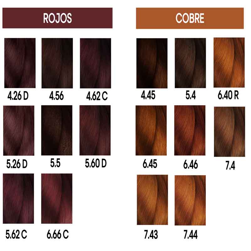 Inoa Loreal Sin Amoniaco Carta De Colores - Infoupdate.org